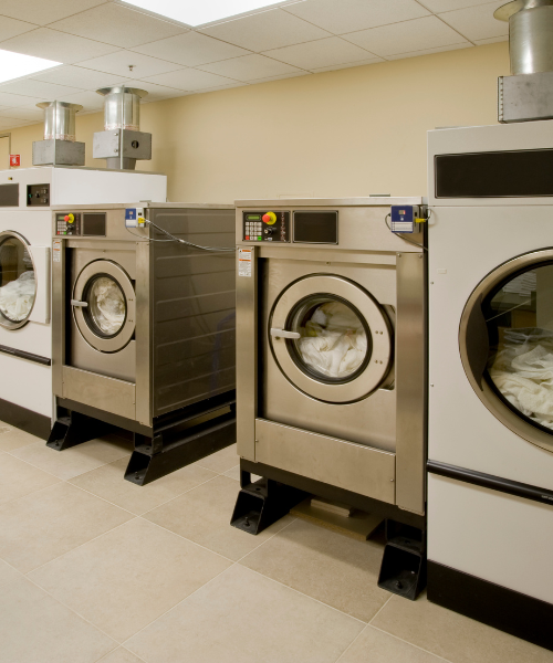 A row of washers in a laundry room